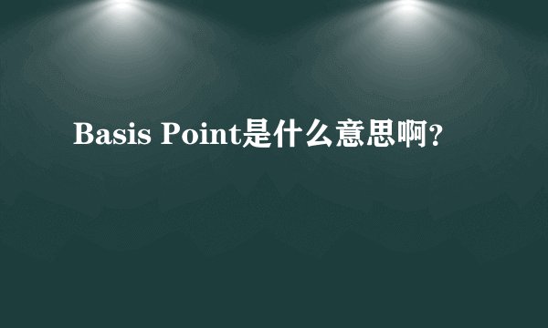 Basis Point是什么意思啊？