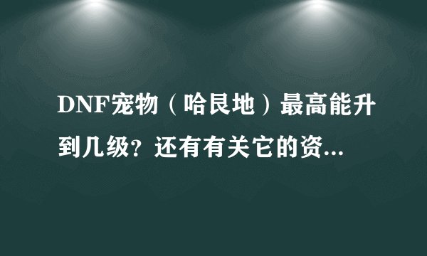 DNF宠物（哈艮地）最高能升到几级？还有有关它的资料说下！