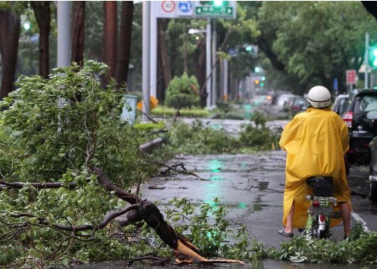 台风白色预警等级是高还是低