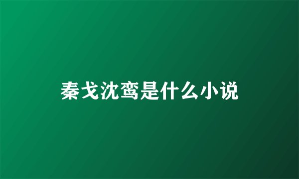 秦戈沈鸾是什么小说