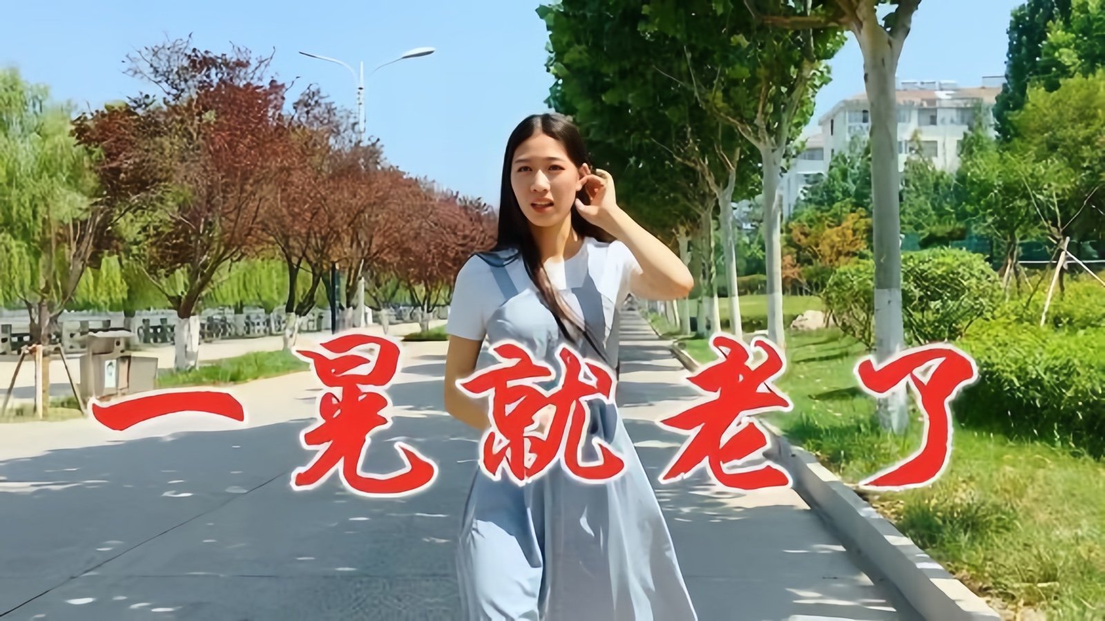 《一晃就老了》歌词