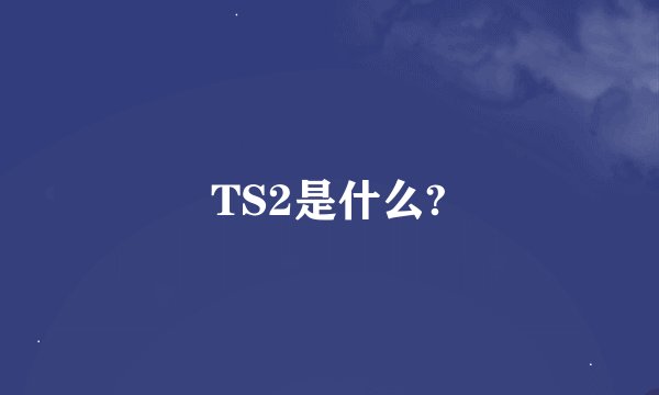 TS2是什么?