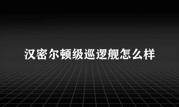 汉密尔顿级巡逻舰怎么样