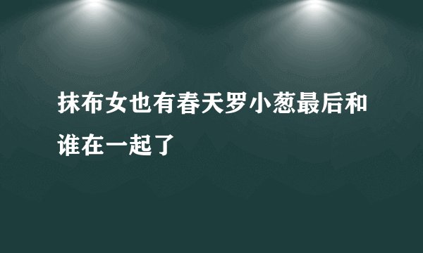 抹布女也有春天罗小葱最后和谁在一起了