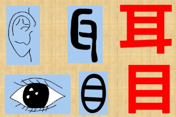 丨是什么意思?