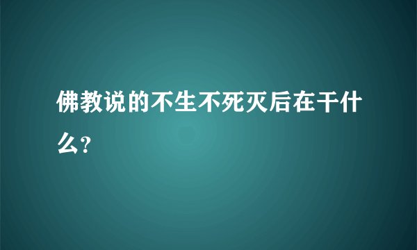 佛教说的不生不死灭后在干什么？