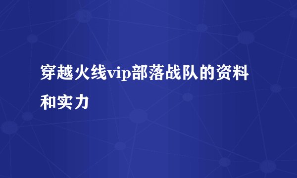 穿越火线vip部落战队的资料和实力