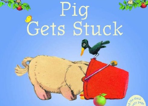 pig和swine的区别？