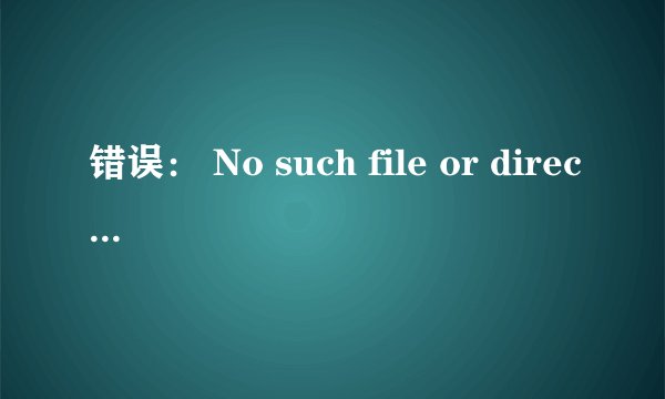 错误： No such file or directory是什么问题？