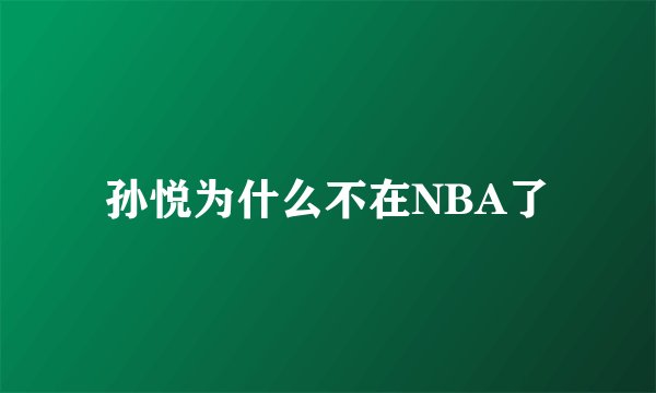 孙悦为什么不在NBA了