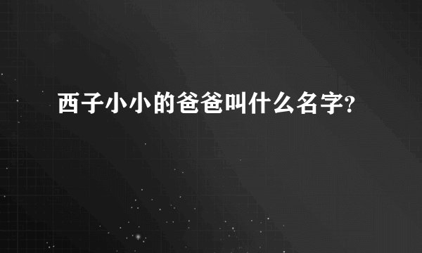 西子小小的爸爸叫什么名字？