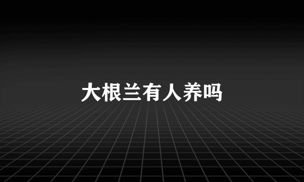 大根兰有人养吗