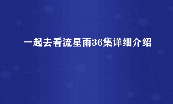 一起去看流星雨36集详细介绍