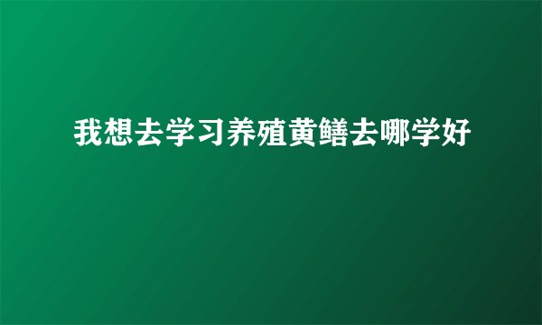 我想去学习养殖黄鳝去哪学好