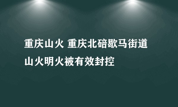 重庆山火 重庆北碚歇马街道山火明火被有效封控