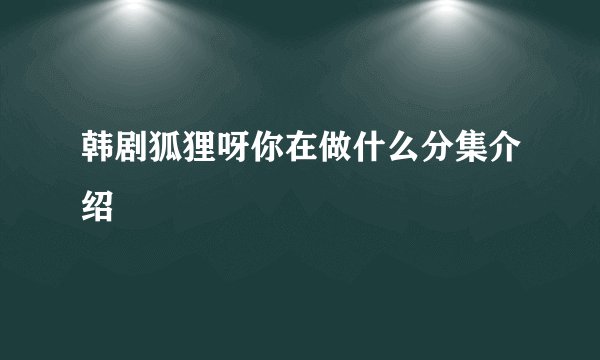 韩剧狐狸呀你在做什么分集介绍