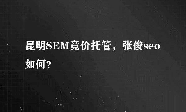 昆明SEM竞价托管，张俊seo如何？