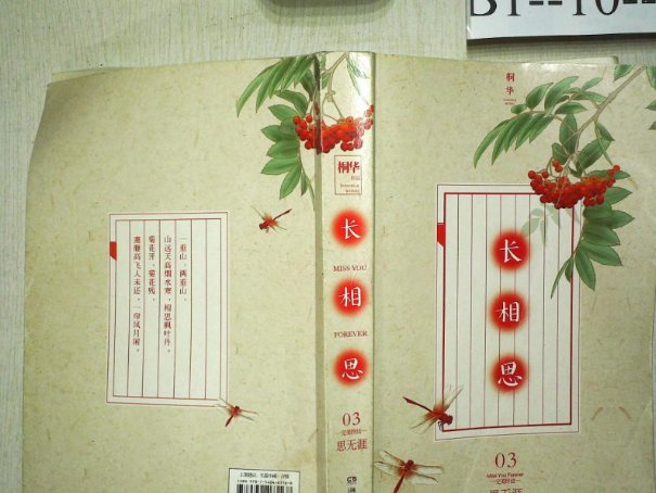 长相思电视剧原著小说叫什么