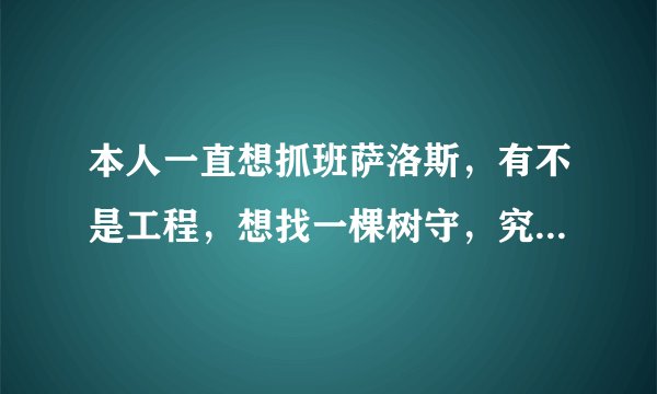 本人一直想抓班萨洛斯，有不是工程，想找一棵树守，究竟悬着那颗，能让他最先非过头顶