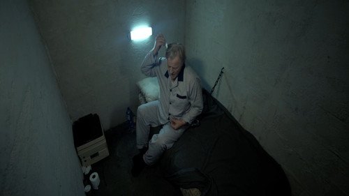 喜力绑架案的介绍