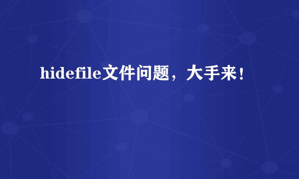 hidefile文件问题，大手来！