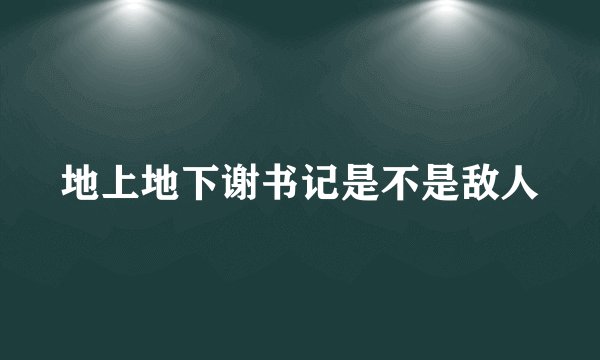 地上地下谢书记是不是敌人
