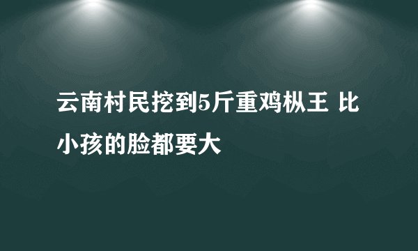 云南村民挖到5斤重鸡枞王 比小孩的脸都要大