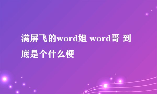 满屏飞的word姐 word哥 到底是个什么梗