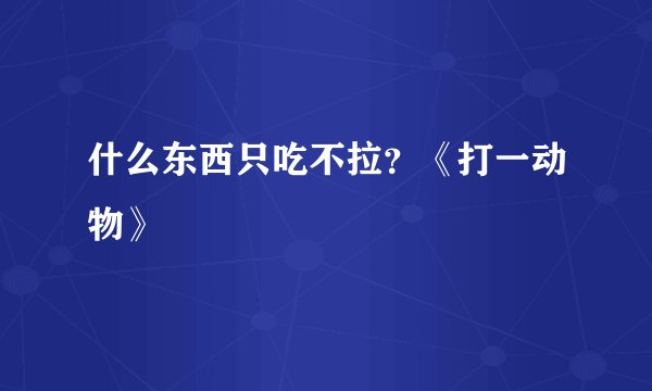 什么东西只吃不拉？《打一动物》