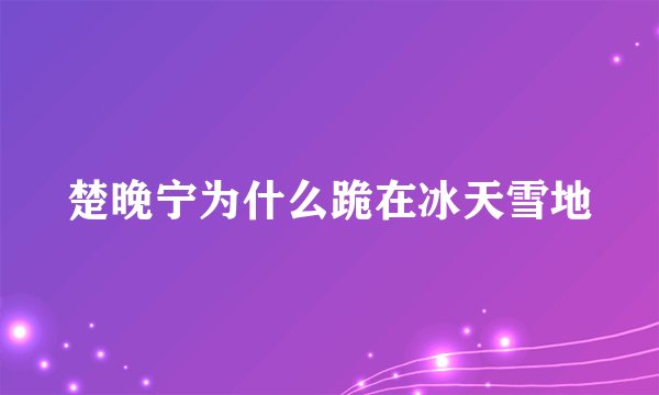 楚晚宁为什么跪在冰天雪地