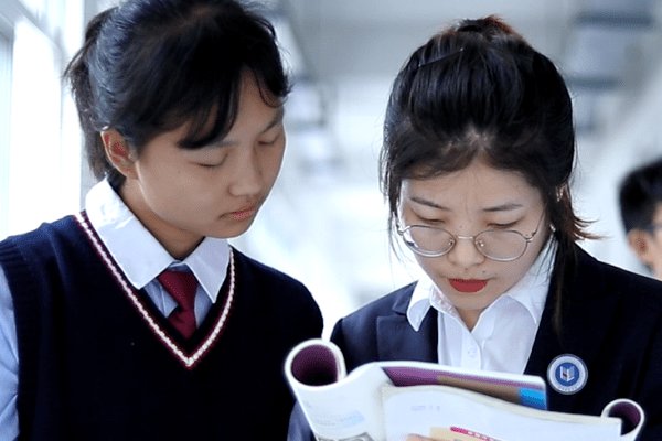 大打出手打一个动物