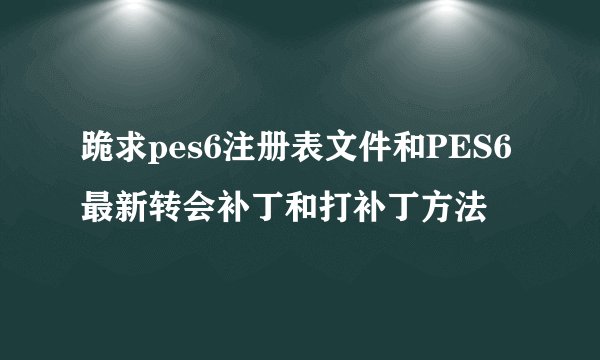 跪求pes6注册表文件和PES6最新转会补丁和打补丁方法