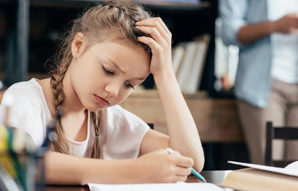 领域拼音和意思？