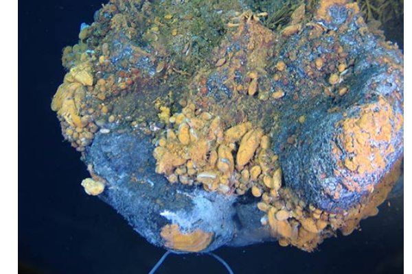 硫化物有哪些颜色？