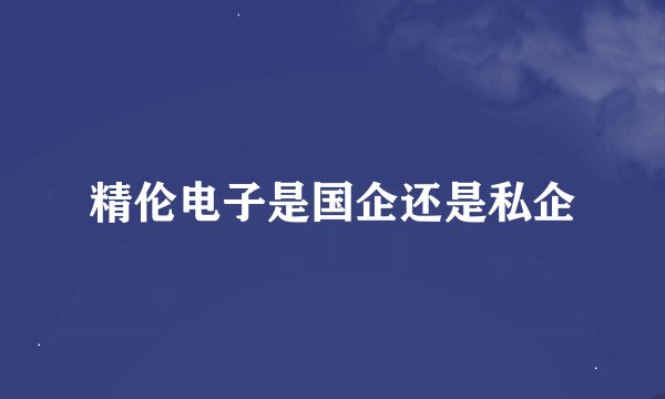 精伦电子是国企还是私企