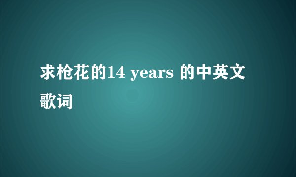求枪花的14 years 的中英文歌词
