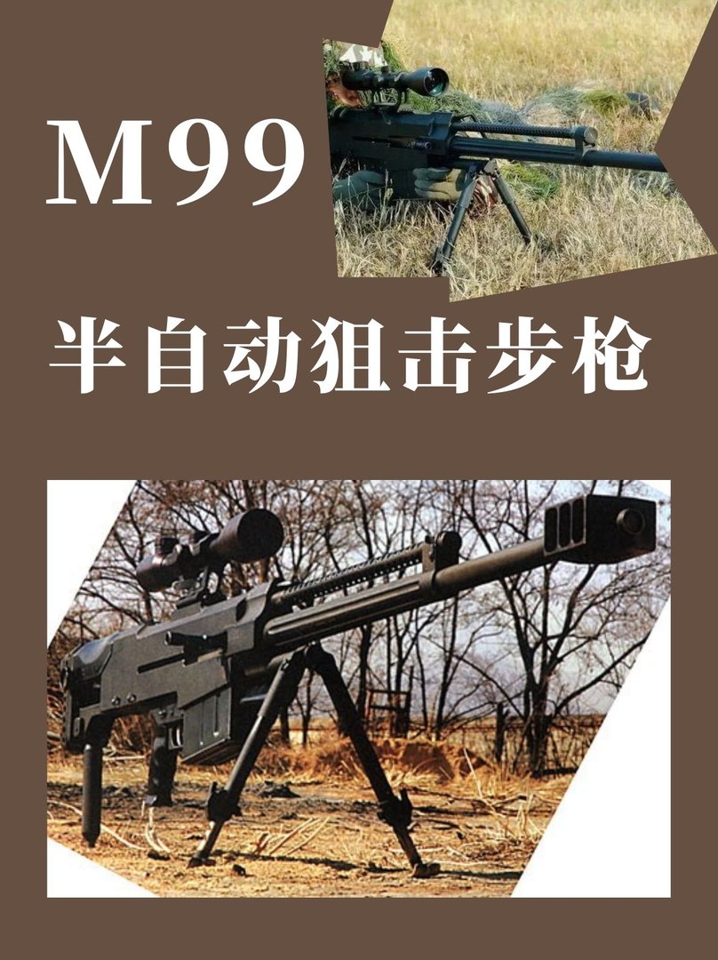 M99半自动狙击步枪