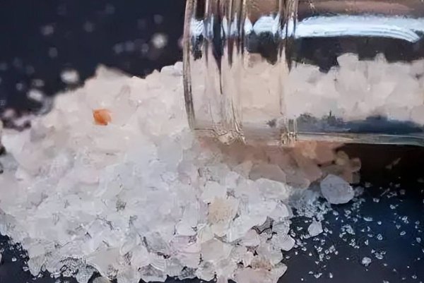 可卡英是从什么植物中提炼而成的答案