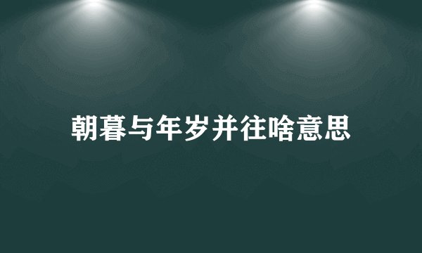 朝暮与年岁并往啥意思