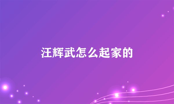 汪辉武怎么起家的