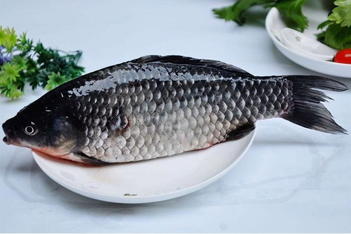 一把刀水上漂有眼睛没眉毛打一动物