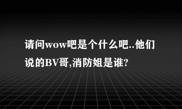 请问wow吧是个什么吧..他们说的BV哥,消防姐是谁?