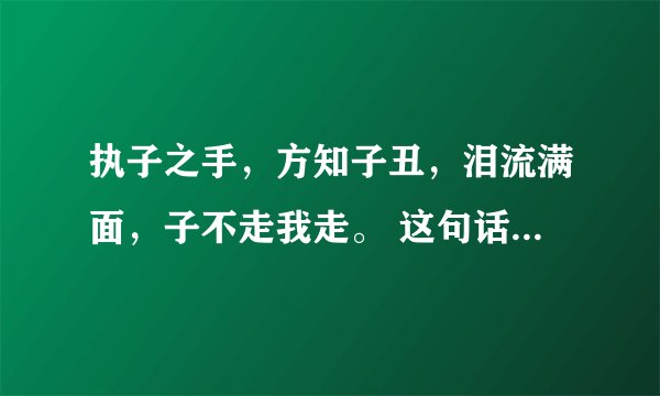 执子之手，方知子丑，泪流满面，子不走我走。 这句话什么意思？