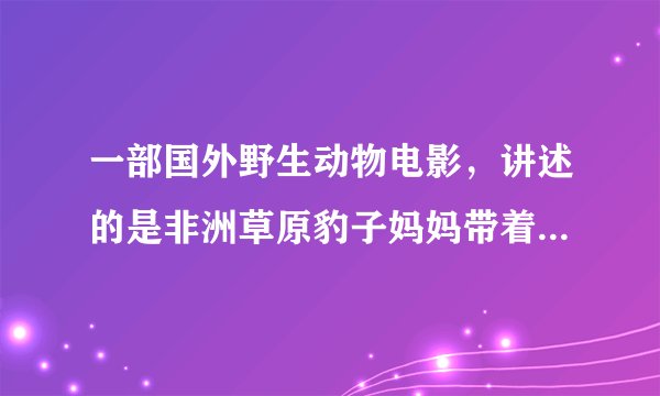 一部国外野生动物电影，讲述的是非洲草原豹子妈妈带着孩子，还有狮子一家。不是卡通的。