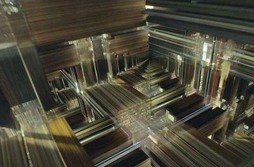 四维空间的生物真的存在？乌贼是四维生物吗？