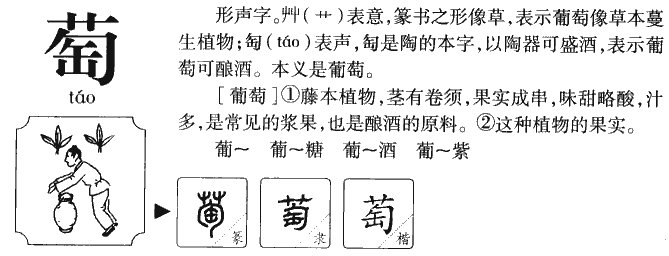 萄的组词有哪些呢