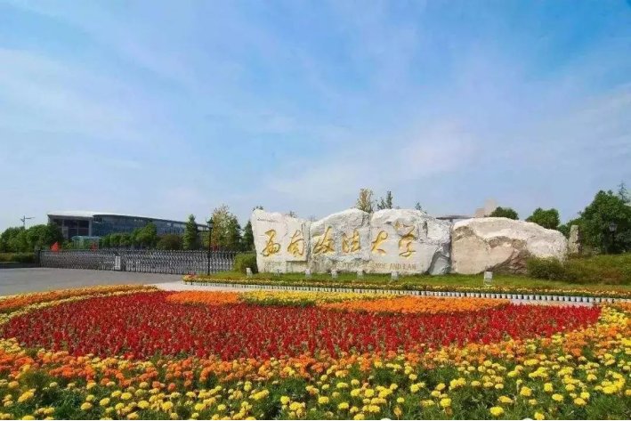 西南政法是211还是985大学