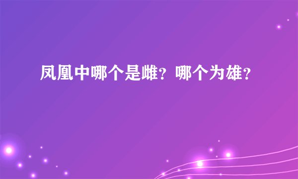 凤凰中哪个是雌？哪个为雄？