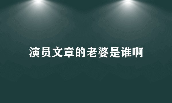 演员文章的老婆是谁啊