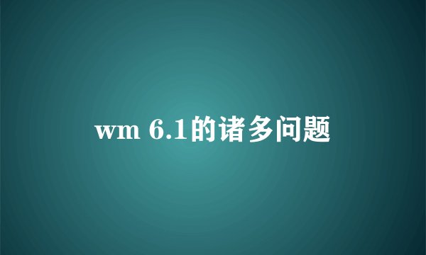 wm 6.1的诸多问题